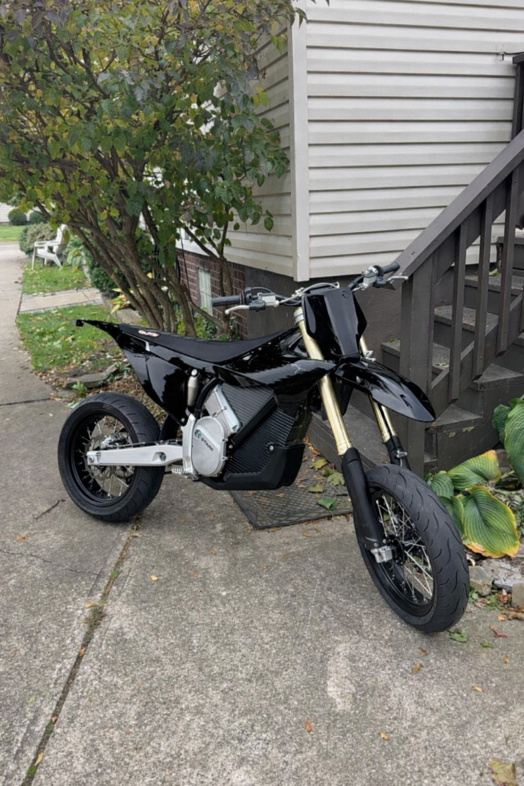 Stark varg custom painted plastics