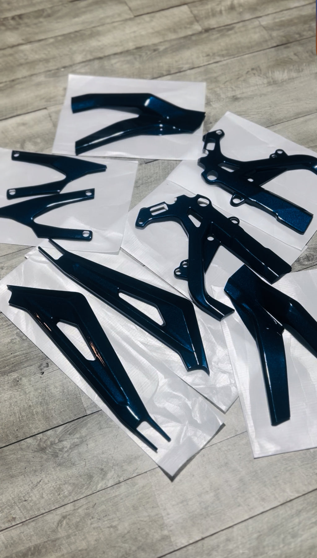 SURRON LIGHT BEE FRAME GUARDS – PROFESSIONAL PAINT FINISH