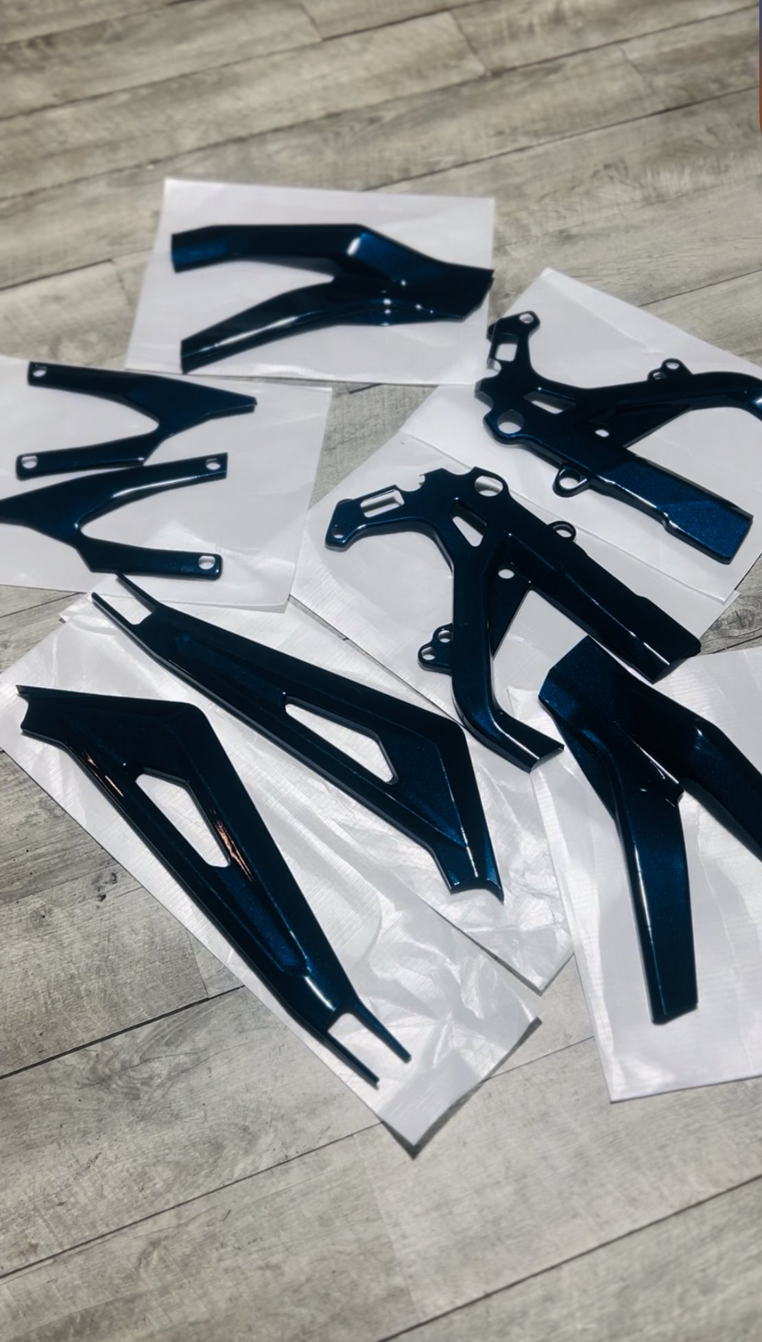 SURRON LIGHT BEE FRAME GUARDS – PROFESSIONAL PAINT FINISH