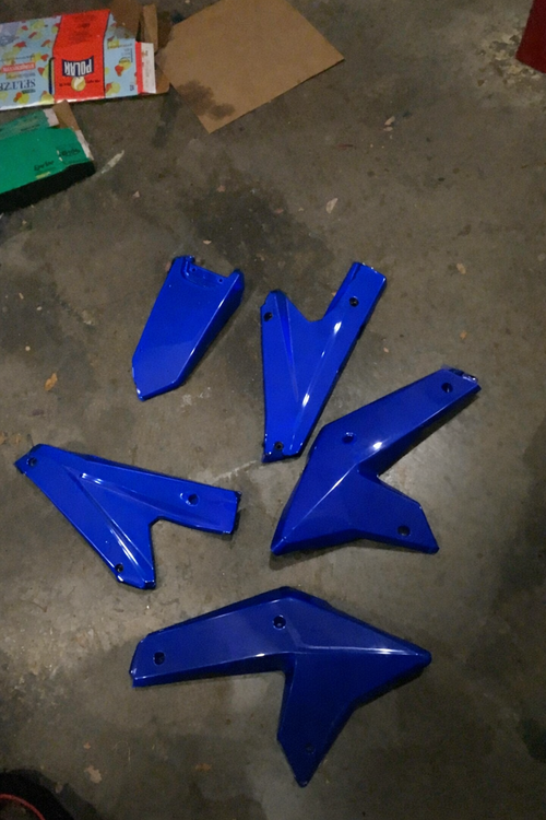 Custom painted RTR plastics